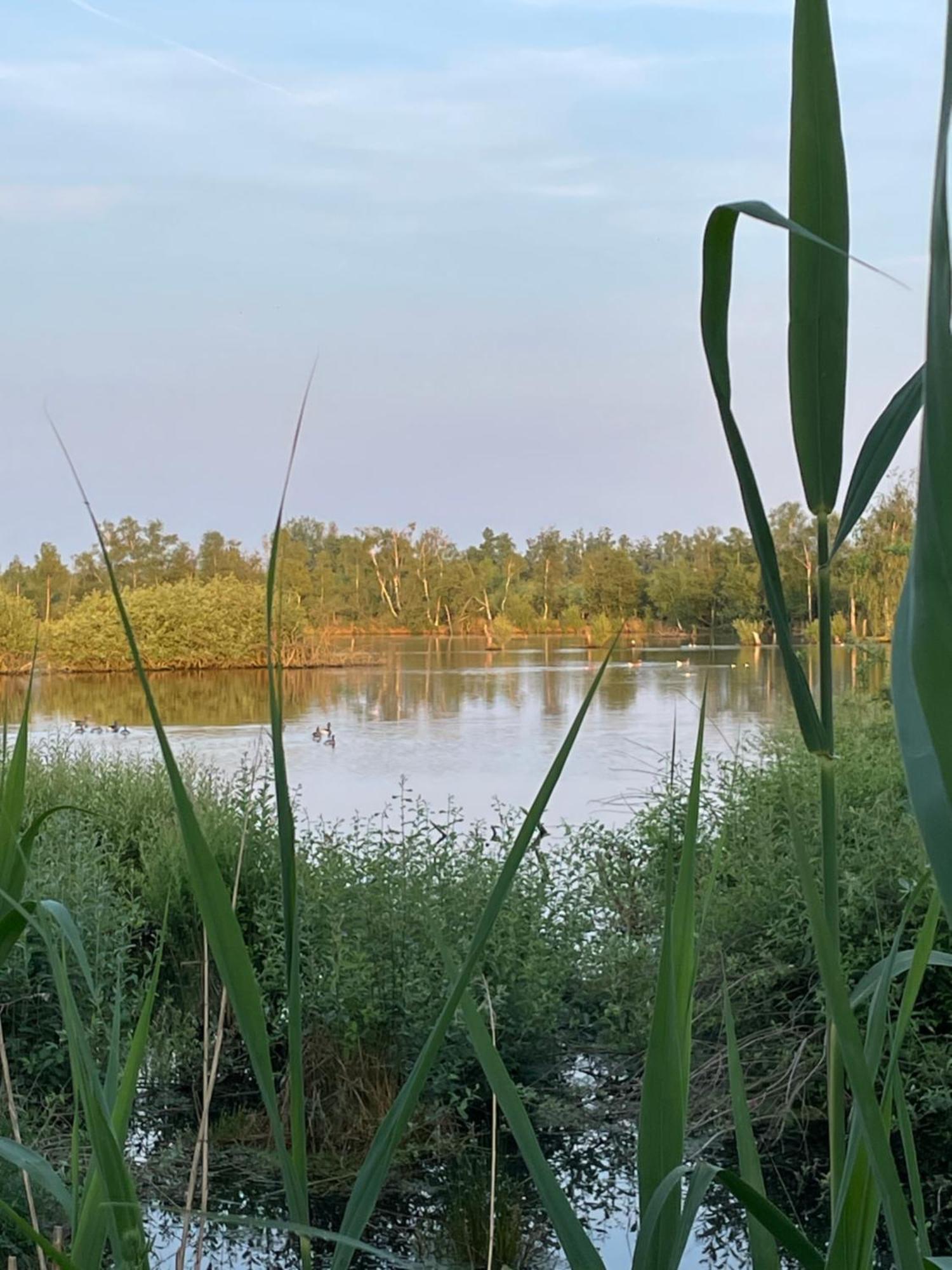 Vakantiewoning Hegga Hegelsom Luaran gambar